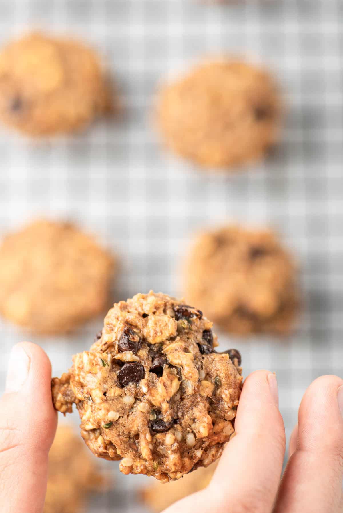 A hand holding a breakfast cookie over other cookies.