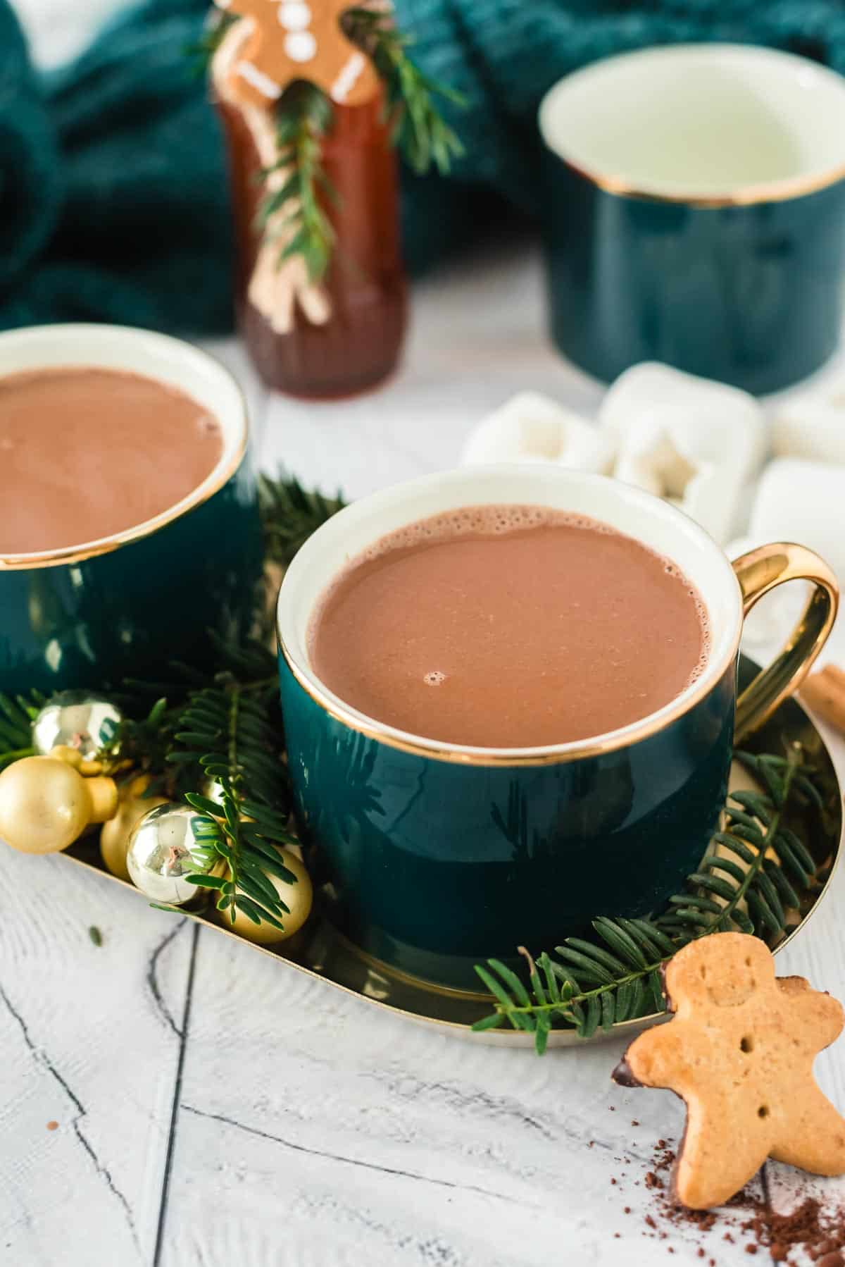 hot chocolate with no toppings