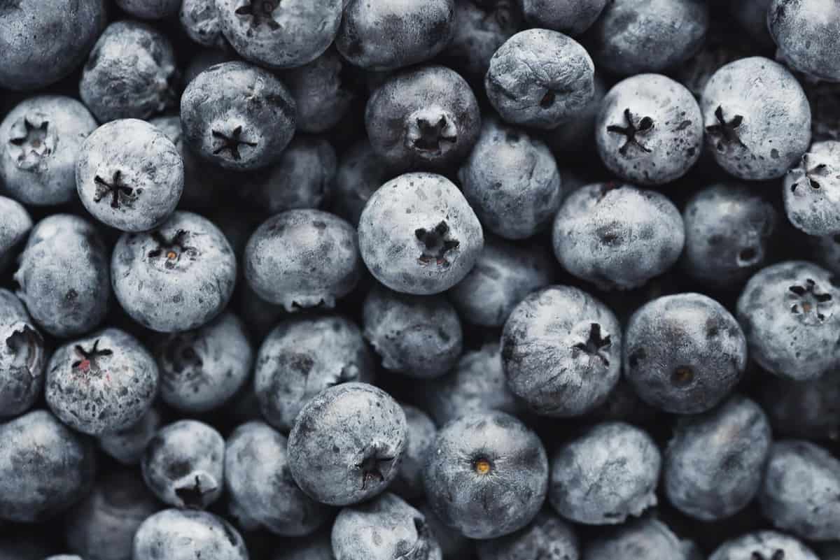 Close up of fresh blueberries.