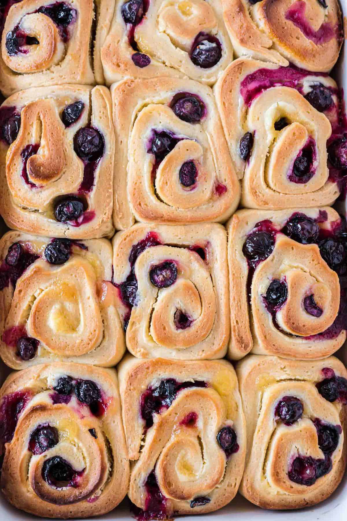 Close up view of un-iced blueberry rolls.