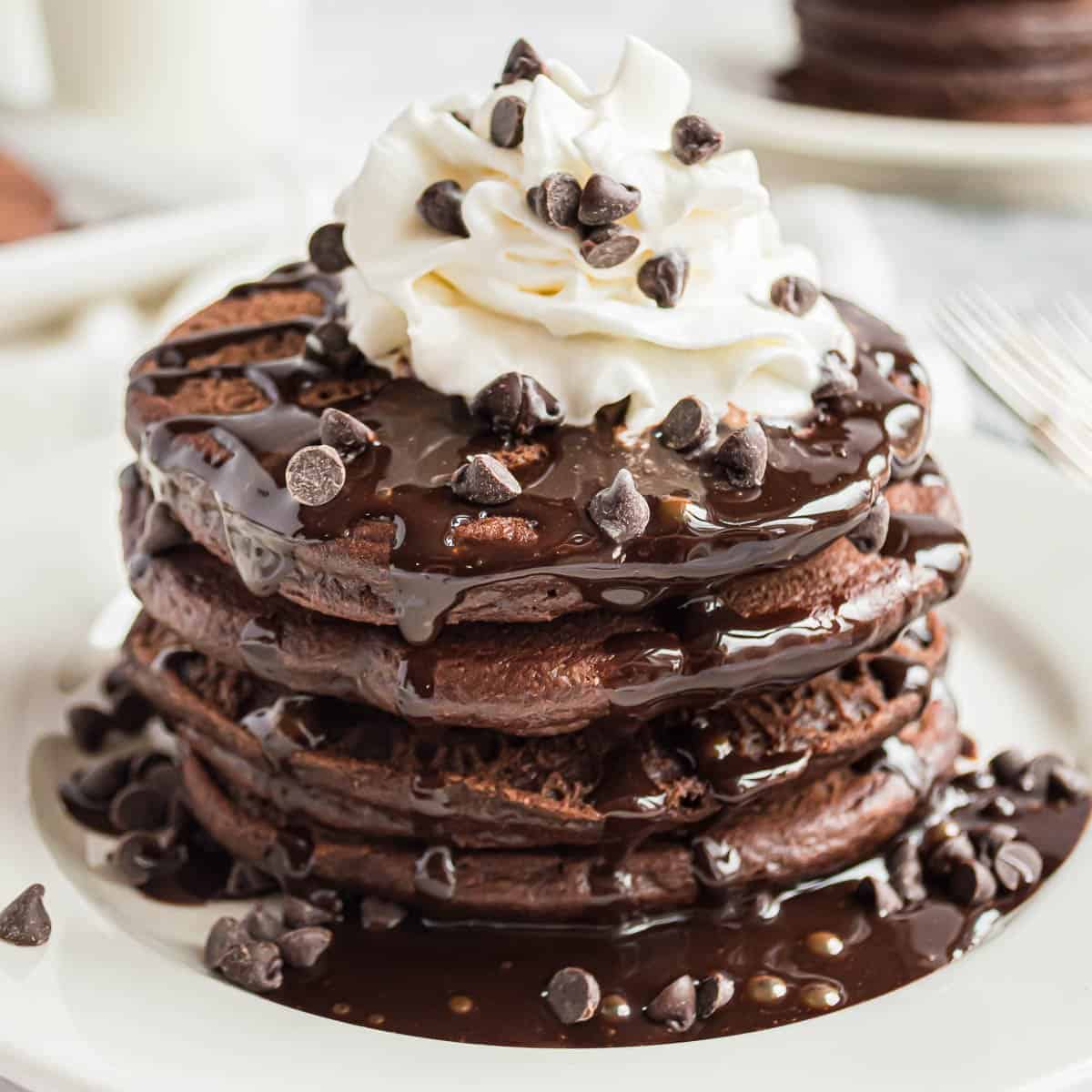 Double Chocolate Whole Wheat Pancakes • Pancake Recipes